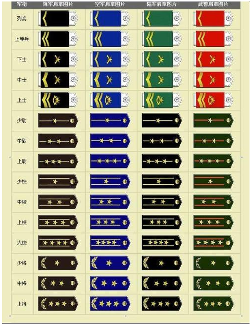 安卓版教官线的篮球教练战术板app安卓版-第2张图片-太平洋在线下载